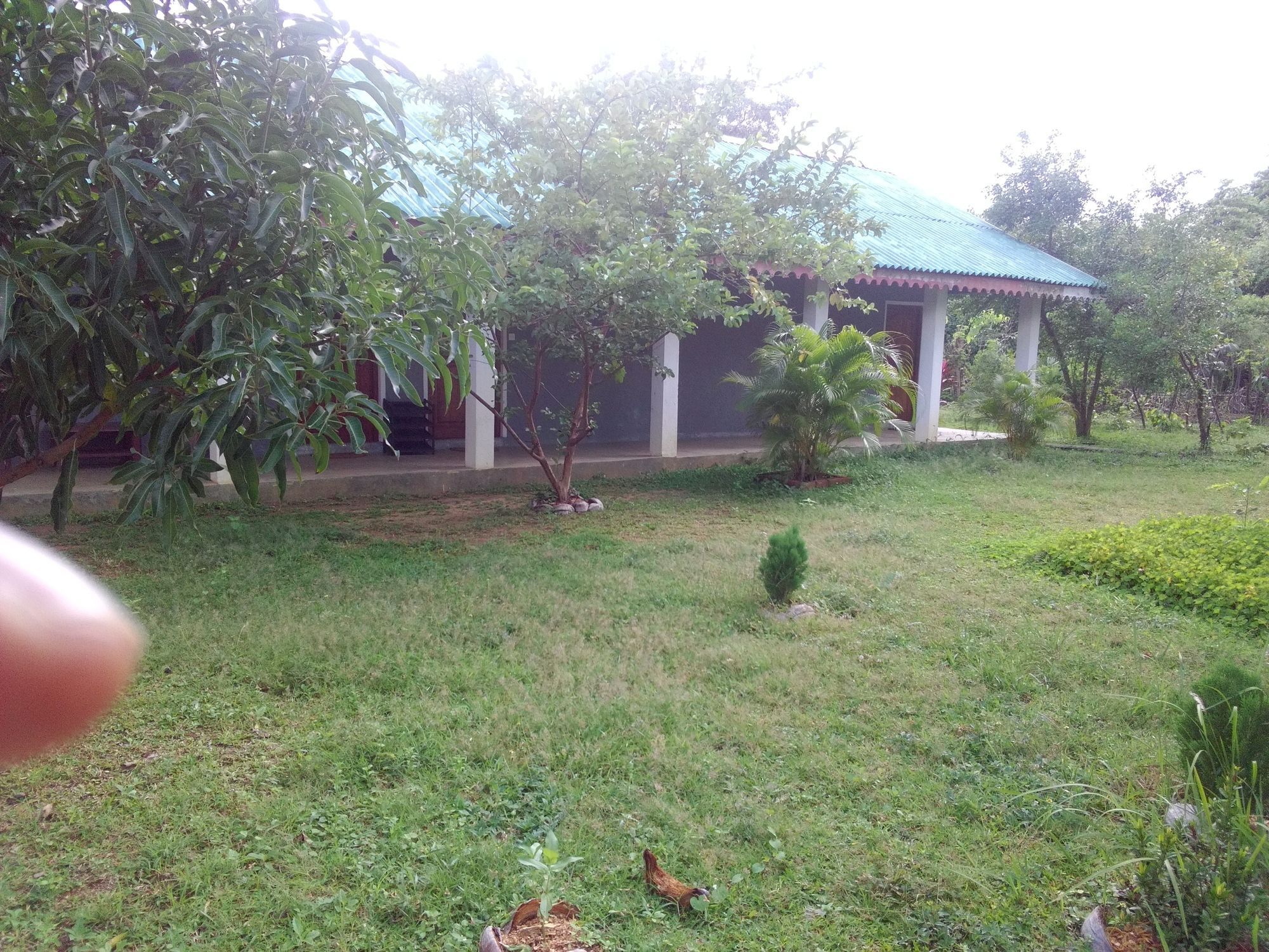 Sinhagiri Villa Sigiriya Bagian luar foto