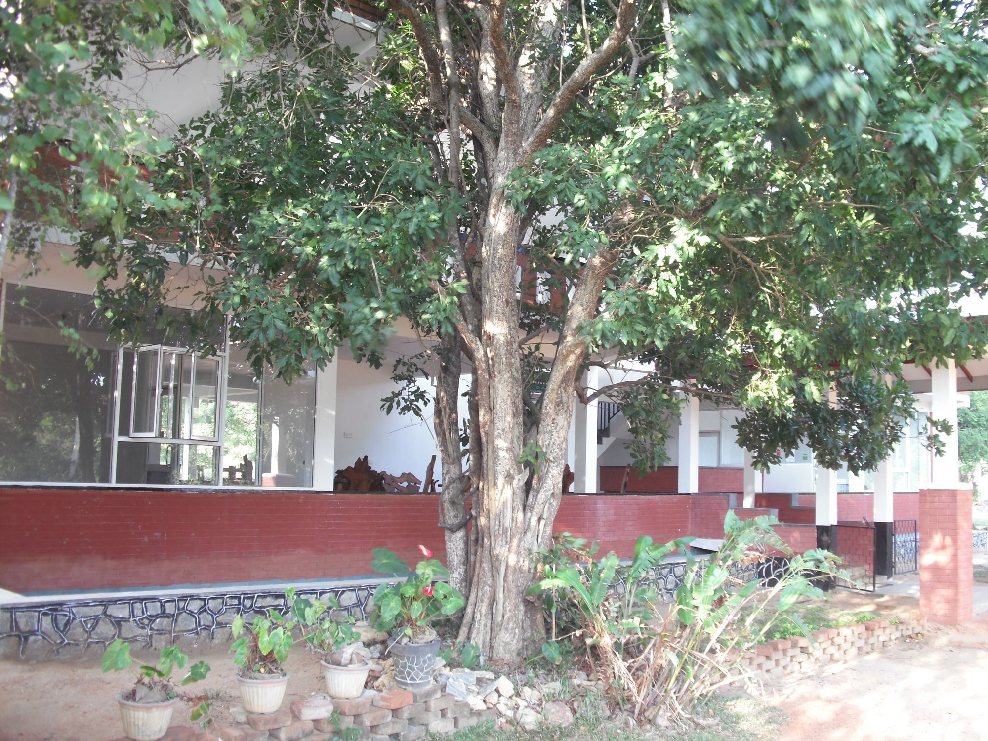 Sinhagiri Villa Sigiriya Bagian luar foto