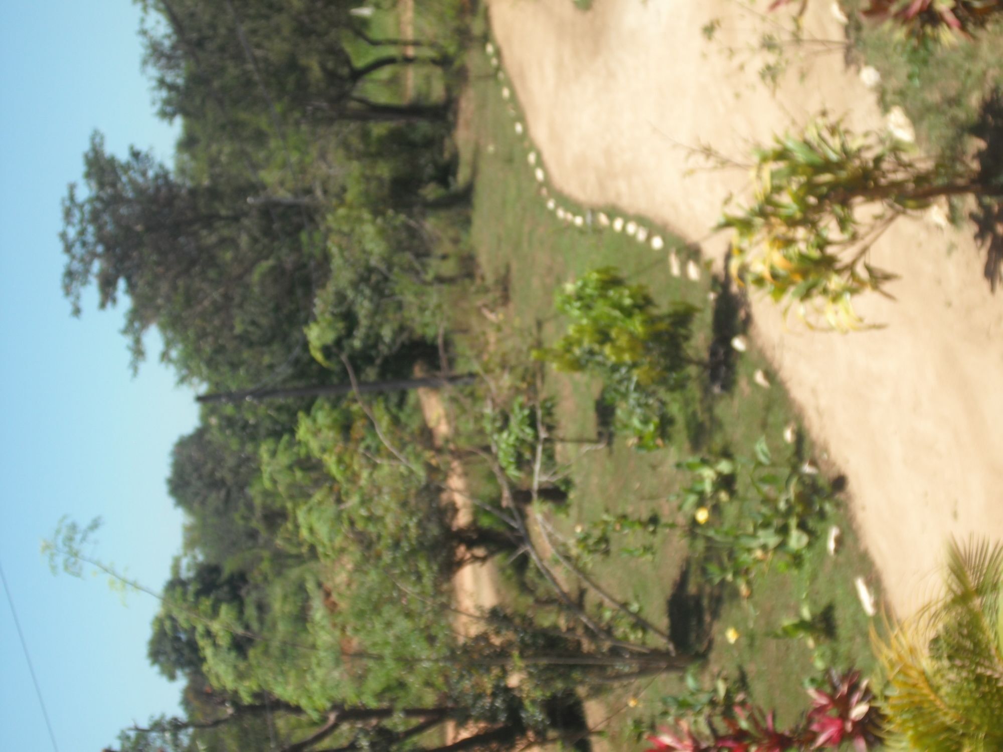 Sinhagiri Villa Sigiriya Bagian luar foto